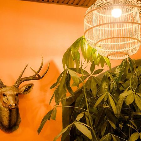 Steed Hotel דה לאט מראה חיצוני תמונה