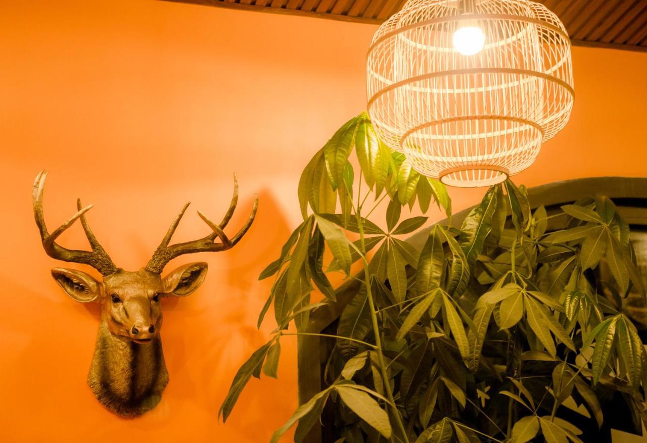 Steed Hotel דה לאט מראה חיצוני תמונה